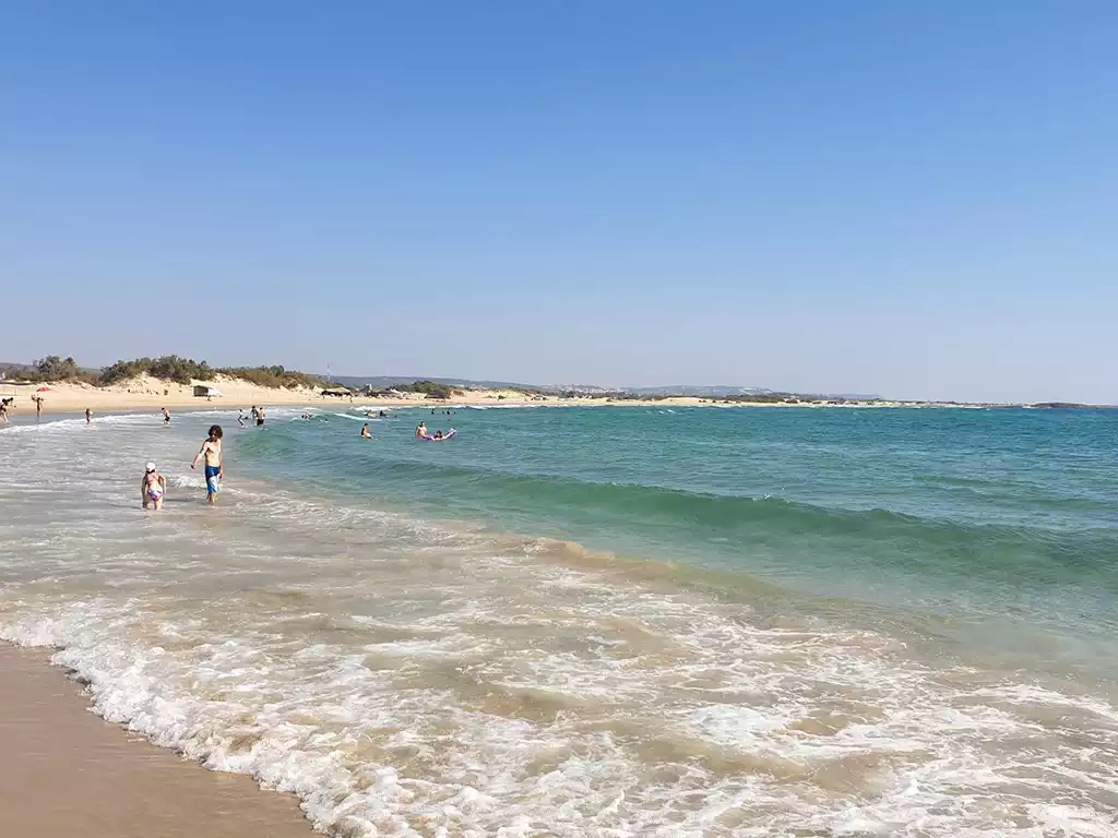 22 late Bronze Age shipwrecks along the Carmel coast of Israel - The Carmel coast at Neve Yam